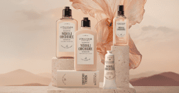 その他 L'Occitane TERRE DE LUMIERE L'EAU 50ml Terre de Lumiere L&#039;Eau L&#039;Occitane en Provence